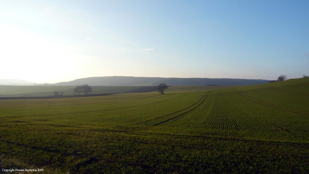 Sologne: Field