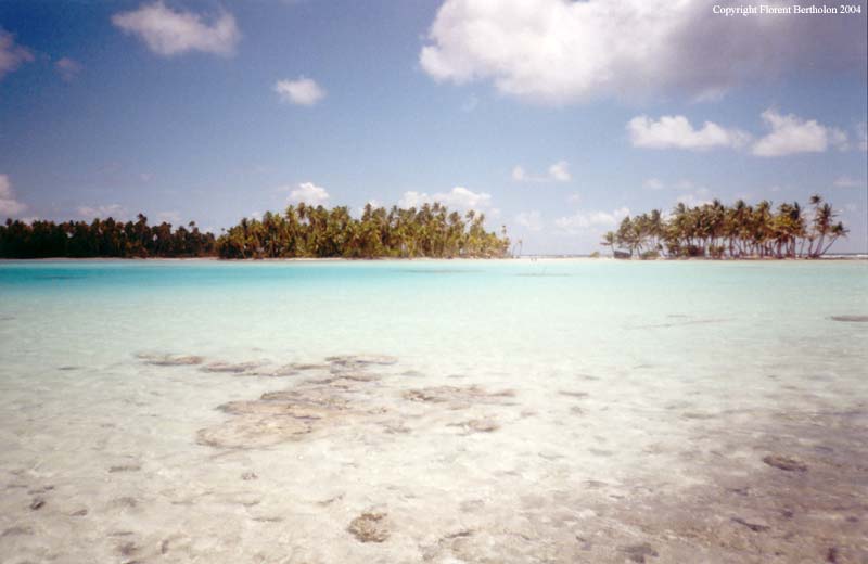 Tahiti island: blue lagoon