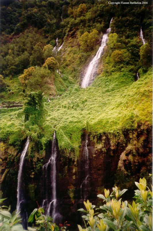 Reunion island: Waterfall