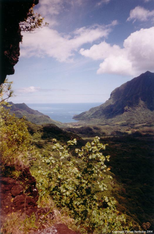 Tahiti: La baie aux pirates