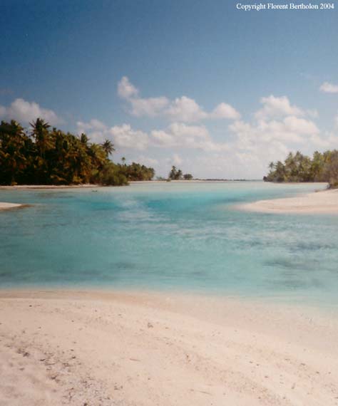 Tahiti island: blue lagoon