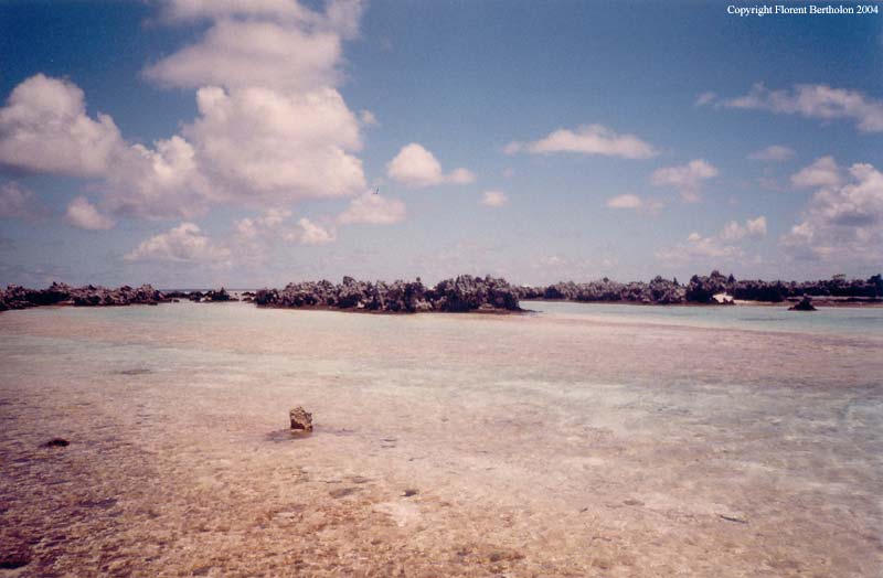 Tahiti island: reefs island
